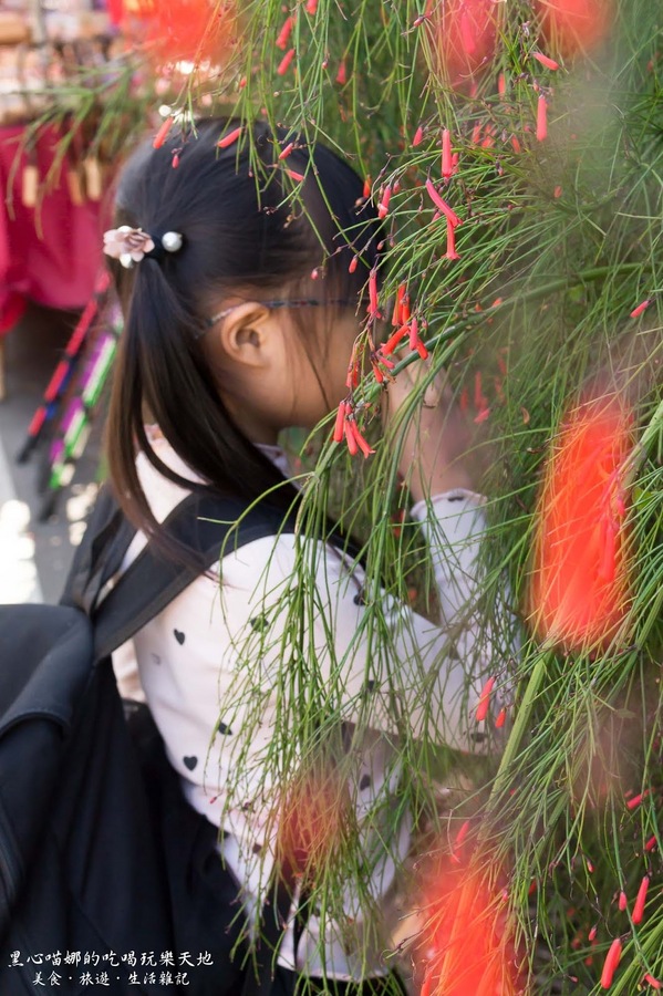 二層坪梅仔雞：台南楠西︱梅嶺賞花、二層坪梅仔雞餐廳　走！追隨春天的腳步拍花去！