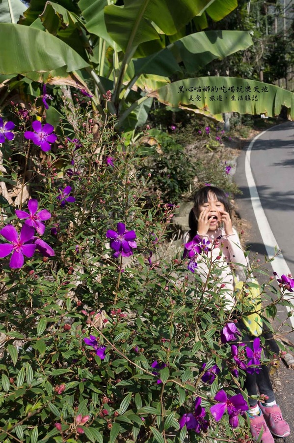 二層坪梅仔雞：台南楠西︱梅嶺賞花、二層坪梅仔雞餐廳　走！追隨春天的腳步拍花去！