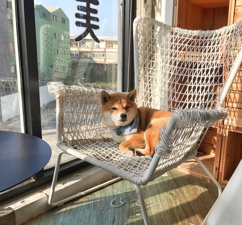 20190123 #1_190209_0006.jpg