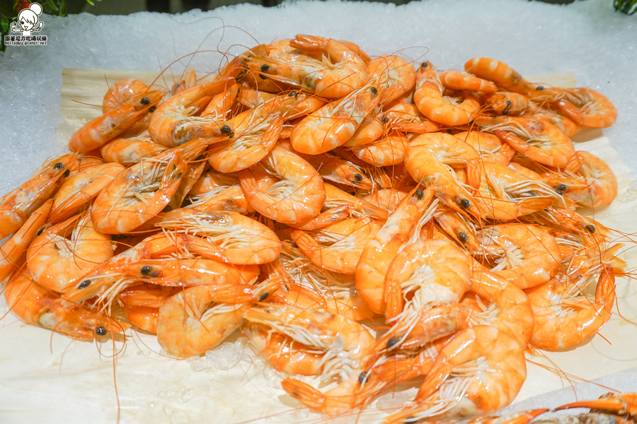 饗食天堂 吃到飽 高雄 大遠百 捷運 聚餐 節慶-08727.jpg