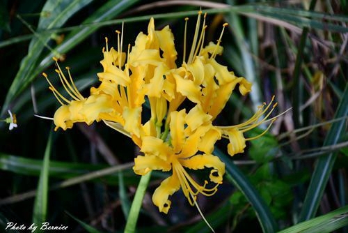 0923 3-獅頭山02.jpg