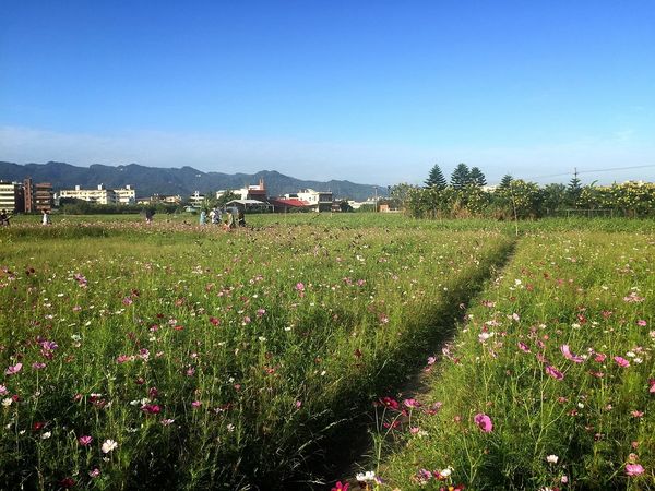 IMG_9132.JPG IMG_9132.JPG