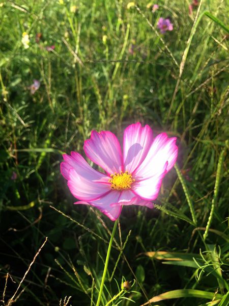 IMG_9159.JPG IMG_9159.JPG