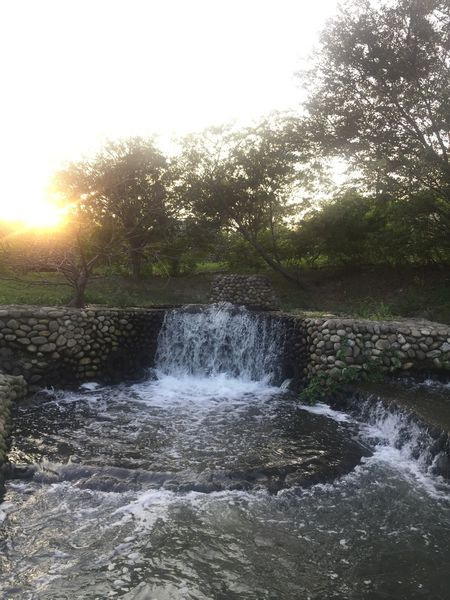 IMG_9219.JPG IMG_9219.JPG