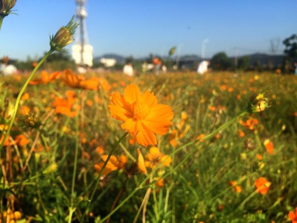 IMG_9172.JPG IMG_9172.JPG