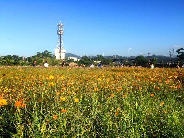 IMG_9169.JPG IMG_9169.JPG