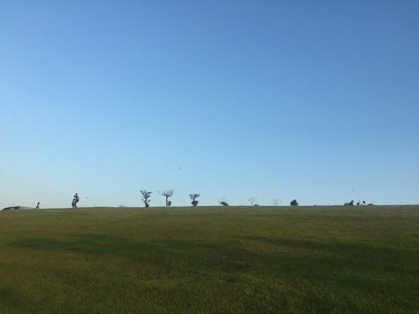 IMG_9224.JPG IMG_9224.JPG