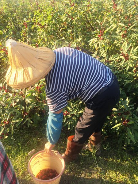 IMG_9188.JPG IMG_9188.JPG