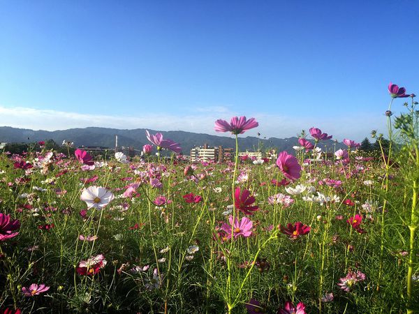 IMG_9146.JPG IMG_9146.JPG