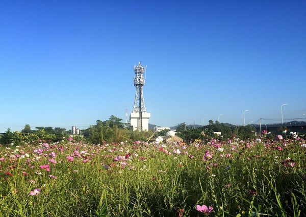 IMG_9147.JPG IMG_9147.JPG