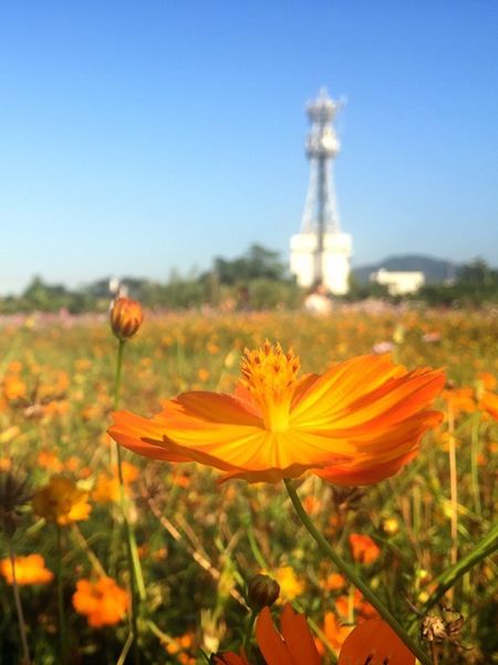 IMG_9177.JPG IMG_9177.JPG