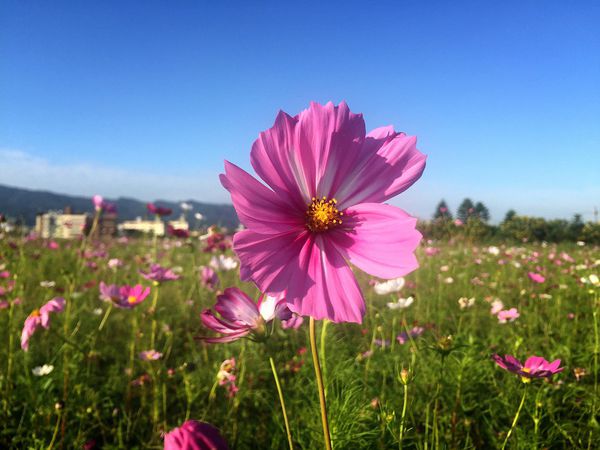 IMG_9137.JPG IMG_9137.JPG