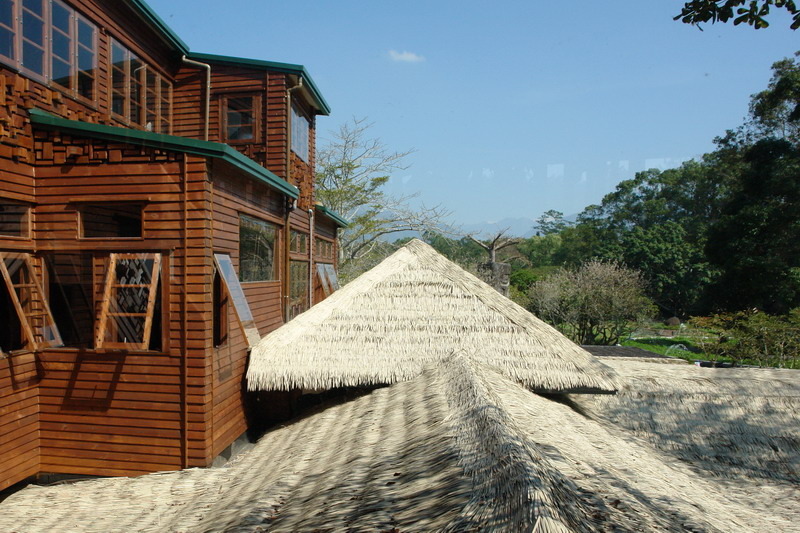 雕之森--埔里的日本料理--秀太大了差很多