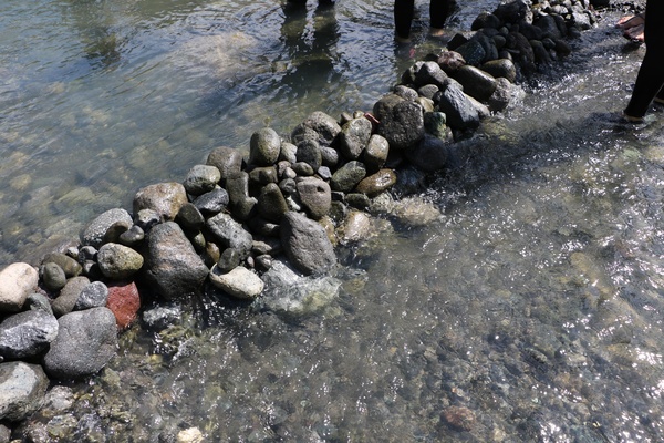 東海岸部落工作假期「一起比西里岸」,走入部落山林野溪徒手抓魚蝦、巴歌浪饗宴、珍重再見