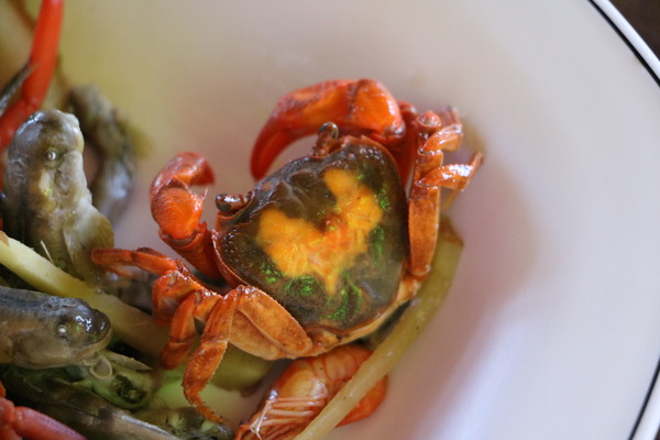 東海岸部落工作假期「一起比西里岸」,走入部落山林野溪徒手抓魚蝦、巴歌浪饗宴、珍重再見