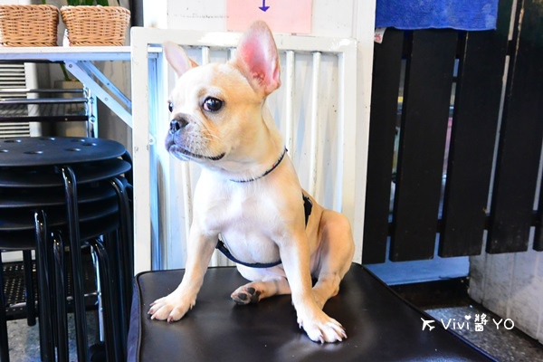 DSC_7003.JPG DSC_7003.JPG