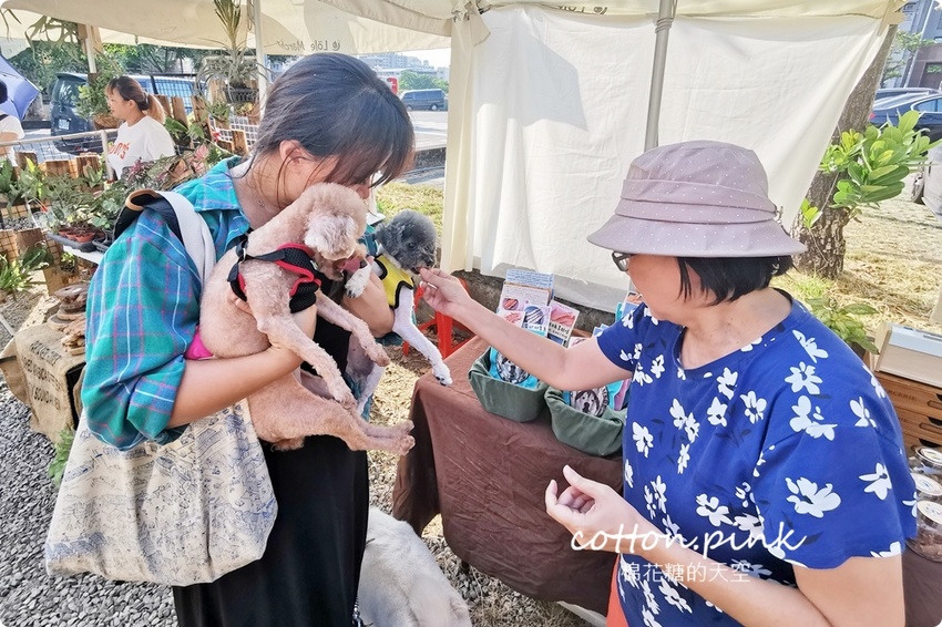 只有一天!台中小蝸牛市集不一樣!這次主角換毛孩~眾奴才們還不快伺候主子著裝出門 只有一天!台中小蝸牛市集不一樣!這次主角換毛孩~眾奴才們還不快伺候主子著裝出門