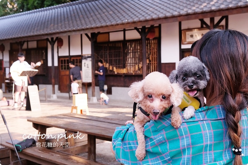 只有一天!台中小蝸牛市集不一樣!這次主角換毛孩~眾奴才們還不快伺候主子著裝出門 只有一天!台中小蝸牛市集不一樣!這次主角換毛孩~眾奴才們還不快伺候主子著裝出門