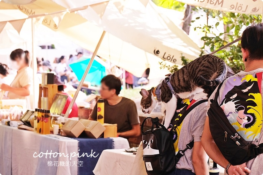 只有一天!台中小蝸牛市集不一樣!這次主角換毛孩~眾奴才們還不快伺候主子著裝出門 只有一天!台中小蝸牛市集不一樣!這次主角換毛孩~眾奴才們還不快伺候主子著裝出門