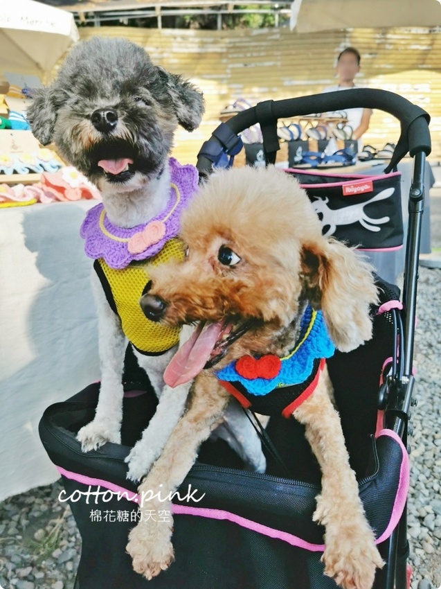 只有一天!台中小蝸牛市集不一樣!這次主角換毛孩~眾奴才們還不快伺候主子著裝出門 只有一天!台中小蝸牛市集不一樣!這次主角換毛孩~眾奴才們還不快伺候主子著裝出門