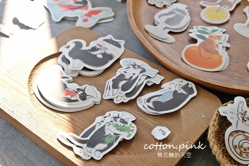 只有一天!台中小蝸牛市集不一樣!這次主角換毛孩~眾奴才們還不快伺候主子著裝出門 只有一天!台中小蝸牛市集不一樣!這次主角換毛孩~眾奴才們還不快伺候主子著裝出門