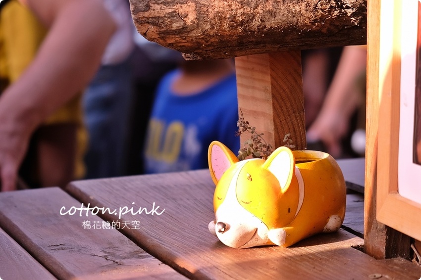 只有一天!台中小蝸牛市集不一樣!這次主角換毛孩~眾奴才們還不快伺候主子著裝出門 只有一天!台中小蝸牛市集不一樣!這次主角換毛孩~眾奴才們還不快伺候主子著裝出門