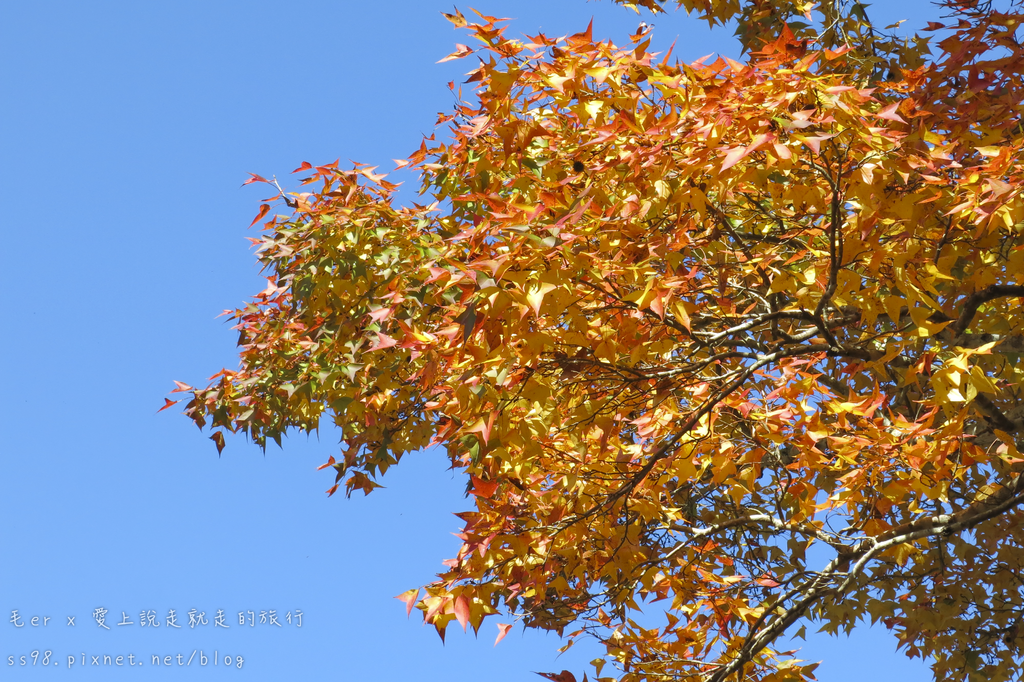 IMG_2625.png IMG_2625.png