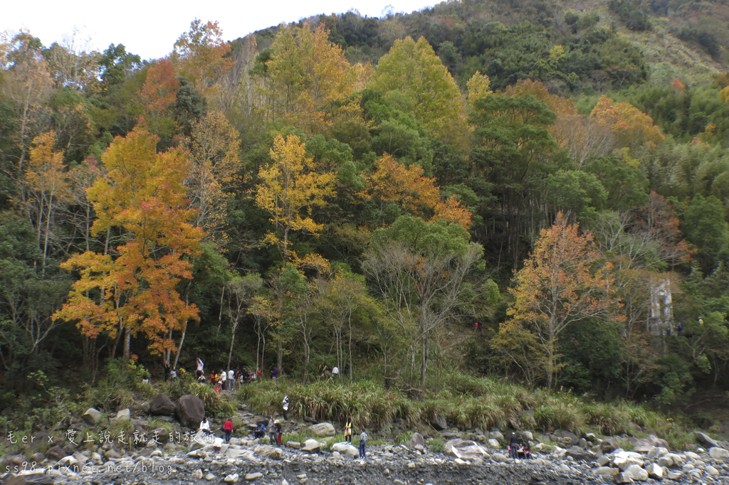 IMG_2649.png IMG_2649.png