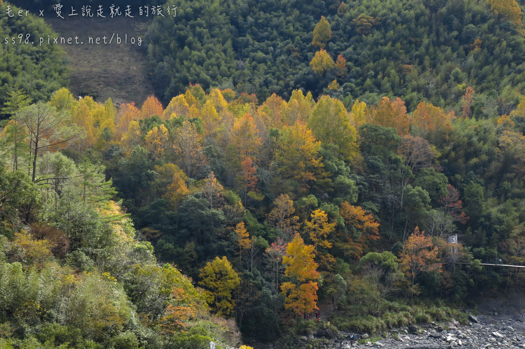 IMG_2568.png IMG_2568.png