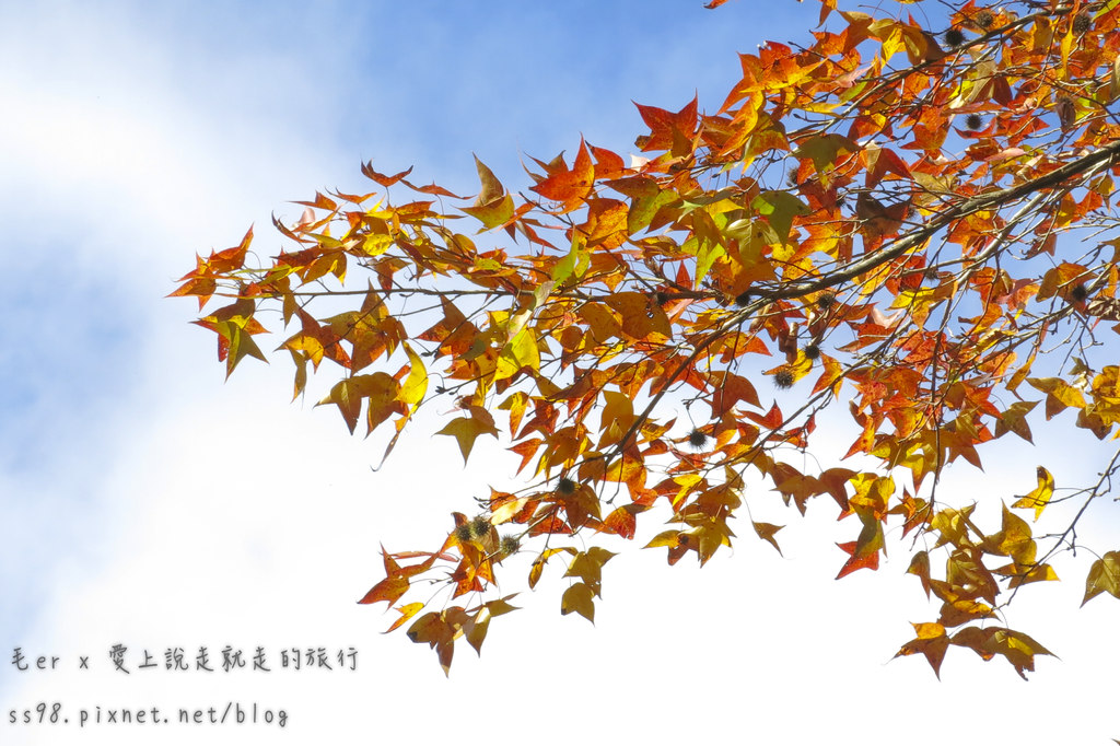 IMG_2644.png IMG_2644.png