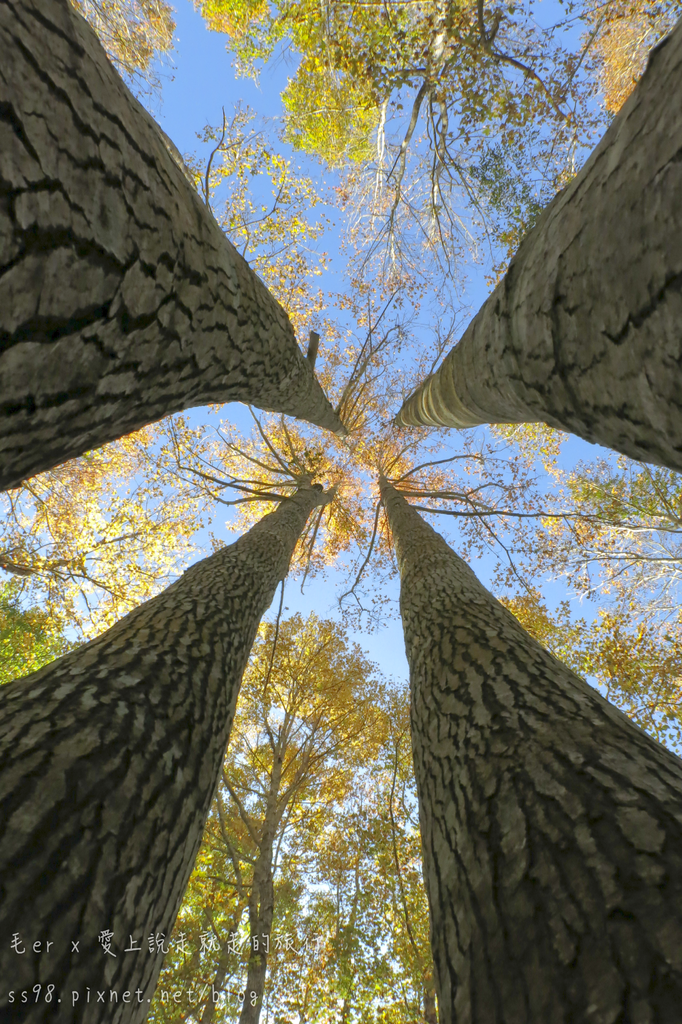 IMG_2638.png IMG_2638.png