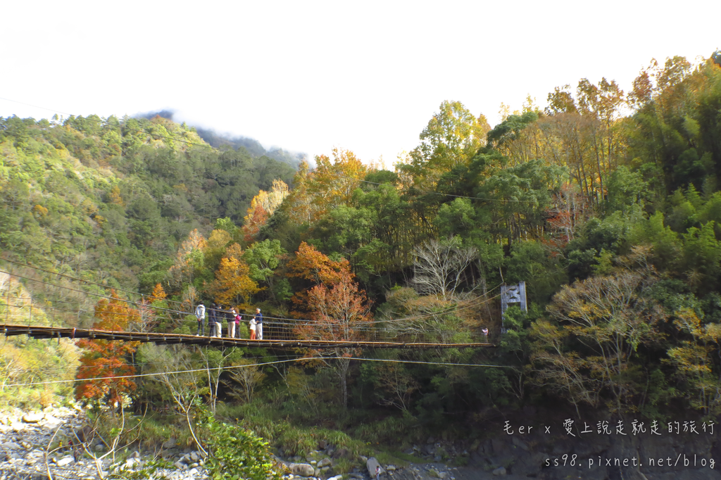 IMG_2596.png IMG_2596.png