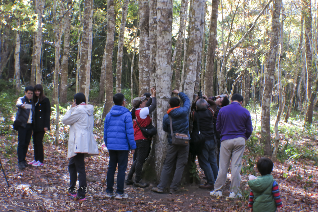 IMG_2629.png IMG_2629.png