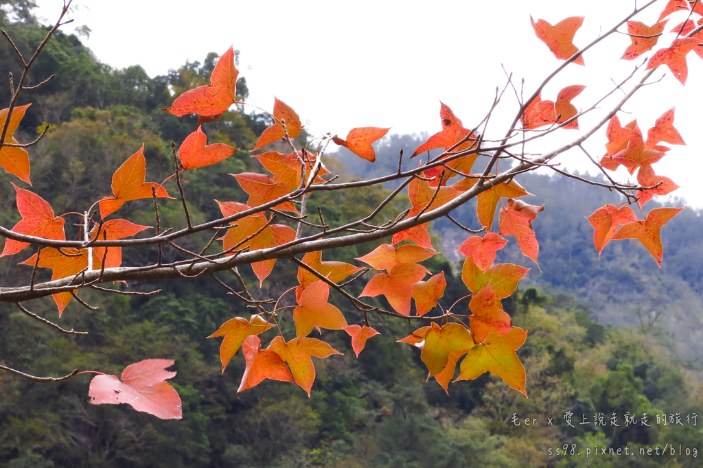 IMG_2666.png IMG_2666.png