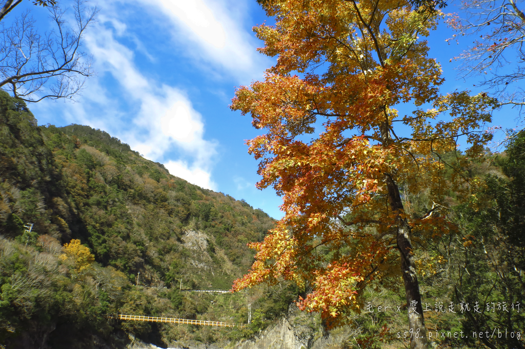 IMG_2614.png IMG_2614.png