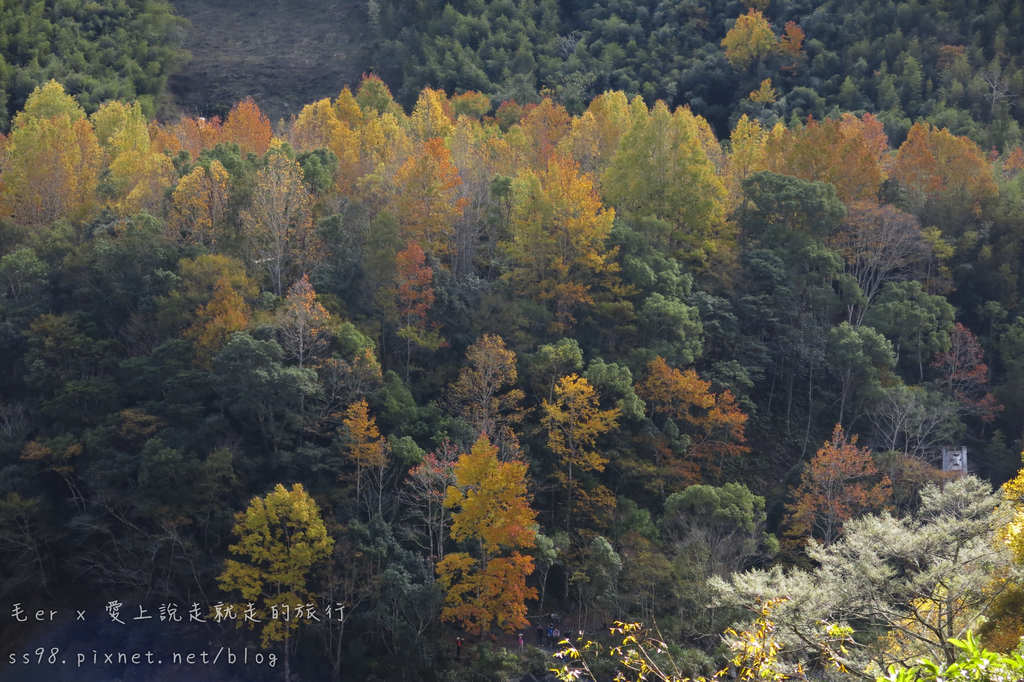 IMG_2585.png IMG_2585.png