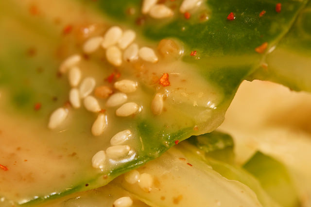 nEO_IMG_DSC09138-11 nEO_IMG_DSC09138-11