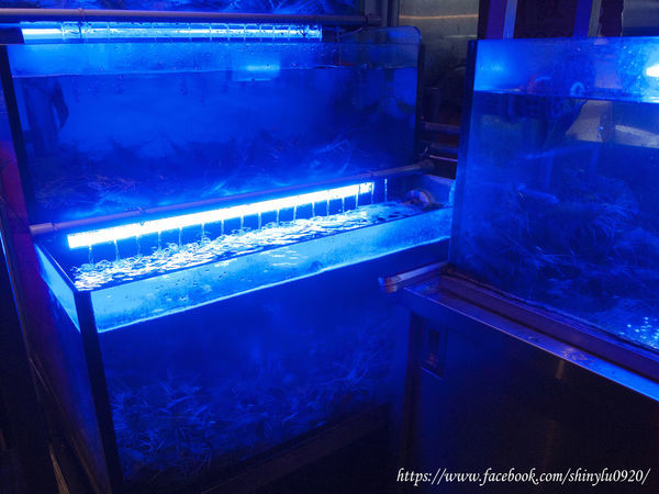一品活蝦忠孝店4.jpg