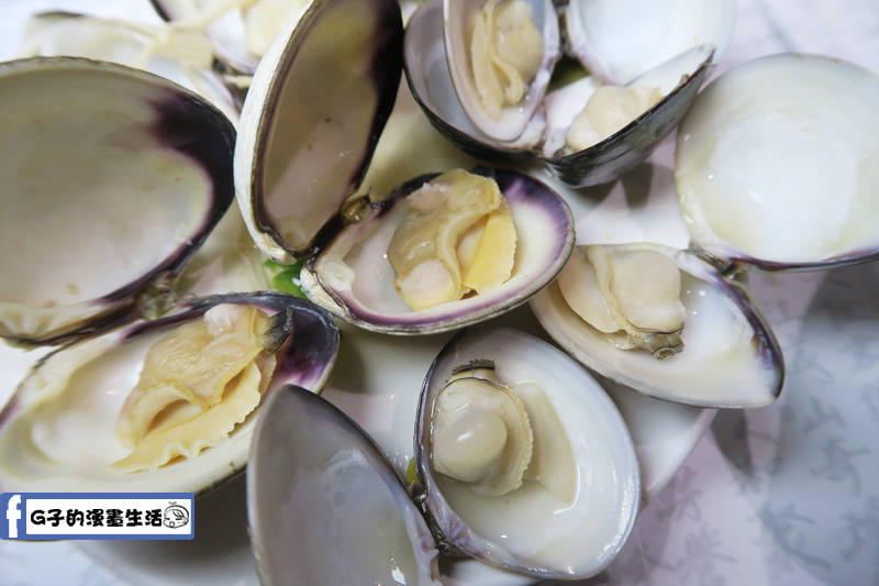 天鍋宴 天母店 台北火鍋 蛤蜊 牛奶貝