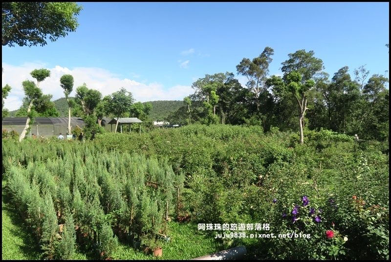 雅聞香草植物園66.JPG