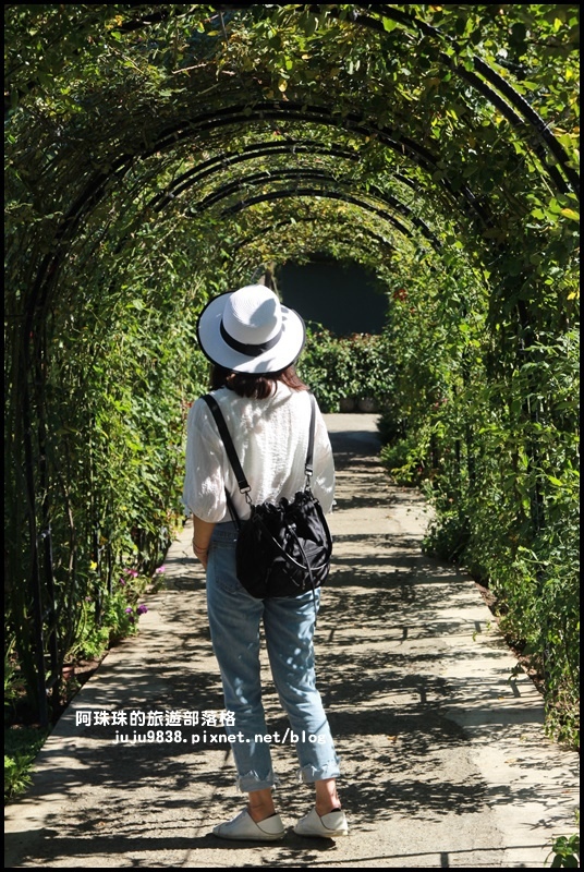 雅聞香草植物園33.JPG
