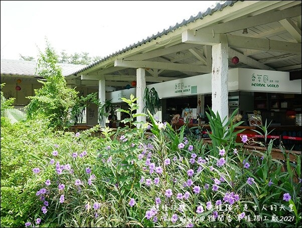 雅聞香草植物工廠-50.jpg