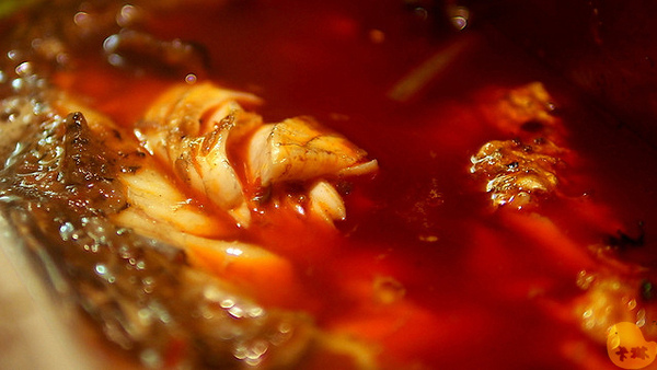 紅門宴：【食記】《紅門宴四川麻辣鴛鴦火鍋》四川媳婦的店