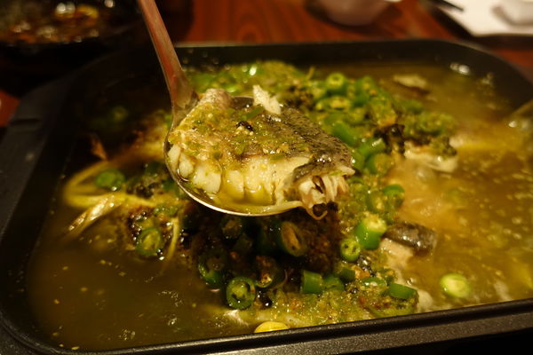 YIFA3378.JPG YIFA3378.JPG