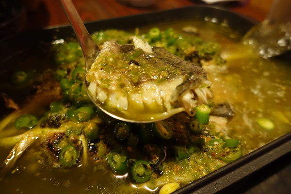 WWUF8248.JPG WWUF8248.JPG