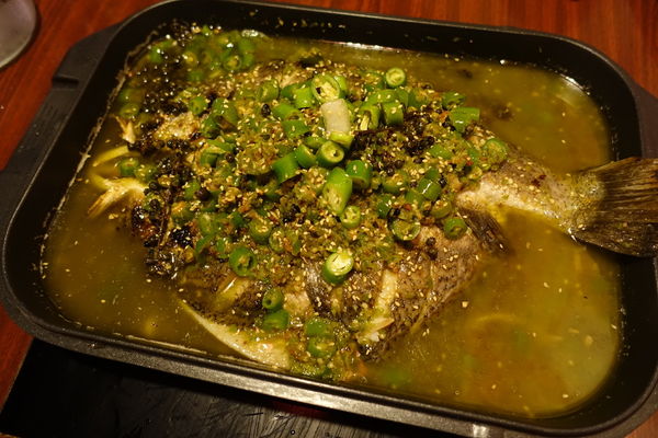 XMKX3913.JPG XMKX3913.JPG