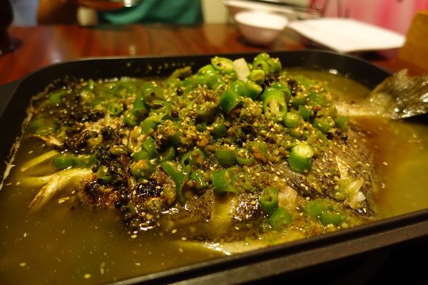 BFTY7040.JPG BFTY7040.JPG