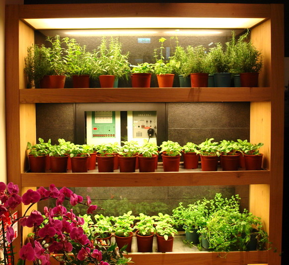 vapiano--來自德國連鎖的義大利麵--有科技晶片卡喔