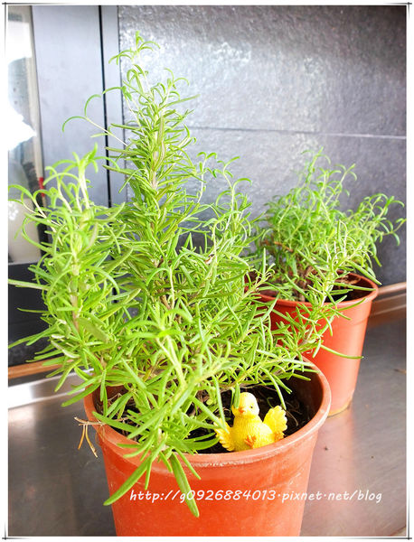 DSCF1010_副本 DSCF1010_副本