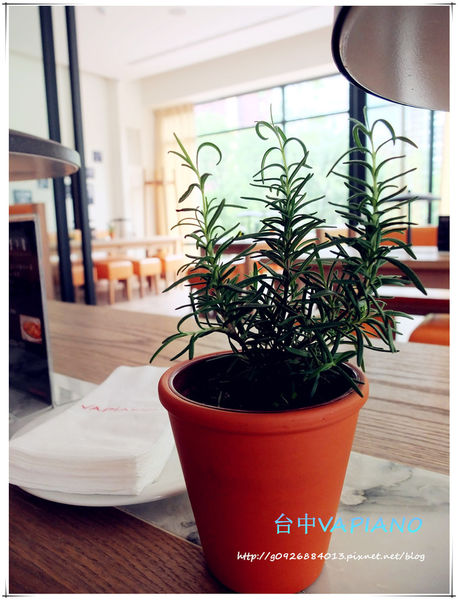 DSCF1145_副本 DSCF1145_副本